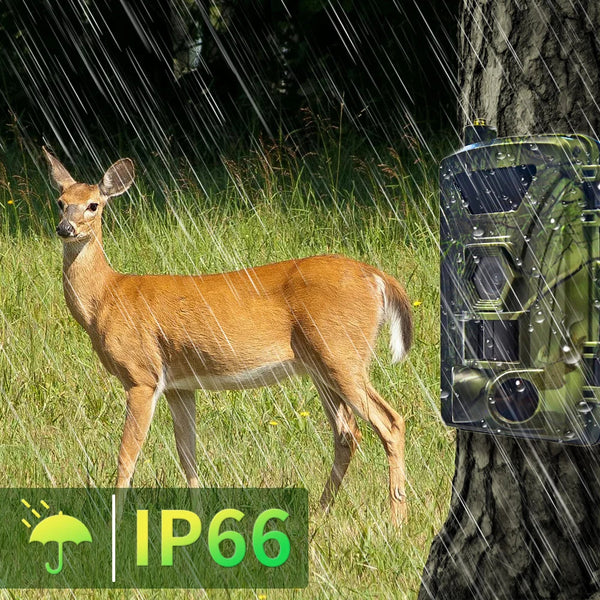 4G LTE Wildcamera met App – 4K Video & 60MP Foto’s – Nachtzicht – IP66 Waterdicht