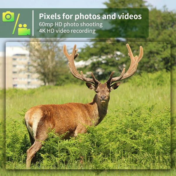 4G LTE Wildcamera met App – 4K Video & 60MP Foto’s – Nachtzicht – IP66 Waterdicht