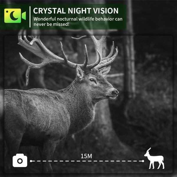 4G LTE Wildcamera met App – 4K Video & 60MP Foto’s – Nachtzicht – IP66 Waterdicht