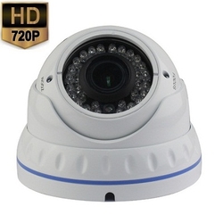 HD 720P 1000TVL Dome Bewakingscamera WIT